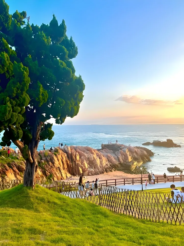 소맥도 잔디밭에서 노을을 보는 사람들